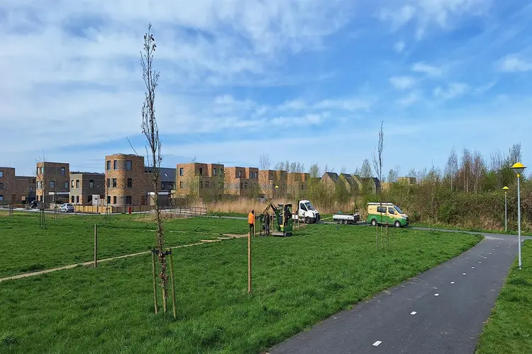 Een hondenveld in het Olmenpark