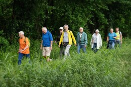 Succesvolle en zeer gezellige eerste Spirit-loop met ruim 50 deelnemers
