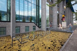 3 maanden cel voor niet inschakelen medische hulp waarna vrouw overleed